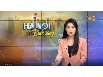 Sơn giả gỗ - giải pháp tiết kiệm chi phí cho công trình